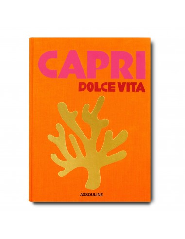 Livre Capri Dolce Vita de France