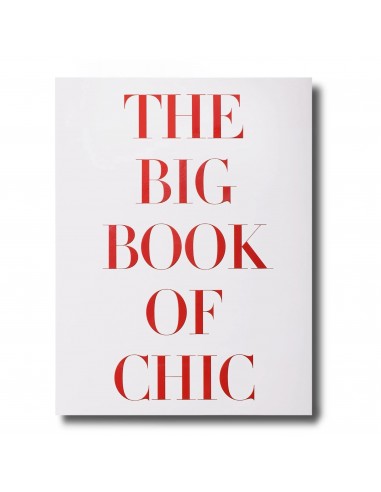 Livre The Big Book of Chic Profitez des Offres !