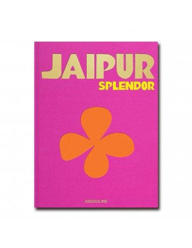 Livre Jaipur en stock