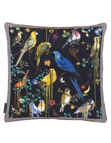 Coussin Birds Sinfonia Crepuscule Découvrez la collection