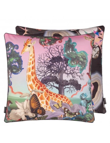 Coussin Novafrica Sunrise Flamingo du meilleur 