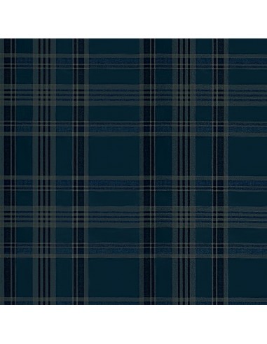 Papier Peint RL Deerpath Trail Plaid Indigo Comparez plus de prix