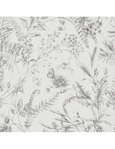 Papier Peint RL Fern Toile - Pencil du meilleur 