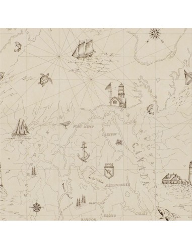 Papier Peint RL Shipping Lanes Map - Bone de votre