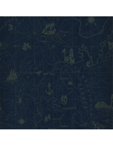 Papier Peint RL Shipping Lanes Map - Brilliant Blue la chaussure