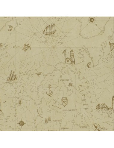 Papier Peint RL Shipping Lanes Map - Parchment online