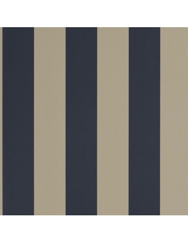 Papier Peint RL Spalding Stripe - Navy / Sand une grave pollution 