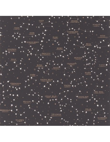 Papier Peint RL Starry Sky Black les muscles