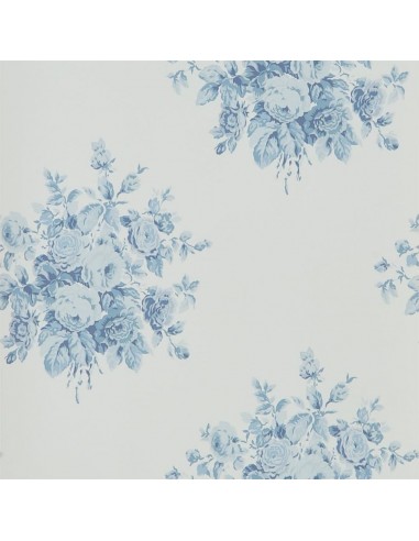 Papier Peint RL Wainscott Floral - Sky s'inspire de l'anatomie humaine