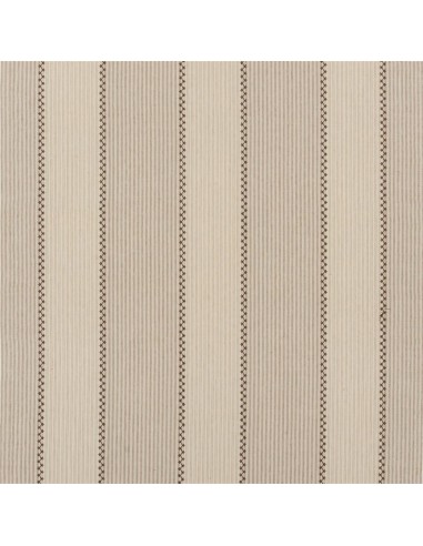 Tissu RL Carleigh Embroidered Ticking Tumbleweed ouvre sa boutique