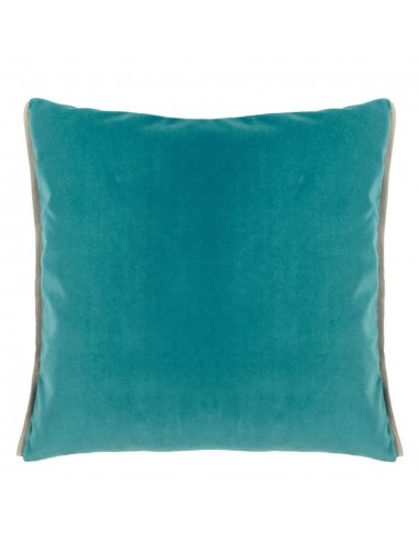 Coussin DG En Velours Varese Ocean & Duck Egg Velvet de technologie