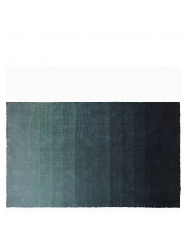 Tapis Capisoli Teal JUSQU'A -70%! 