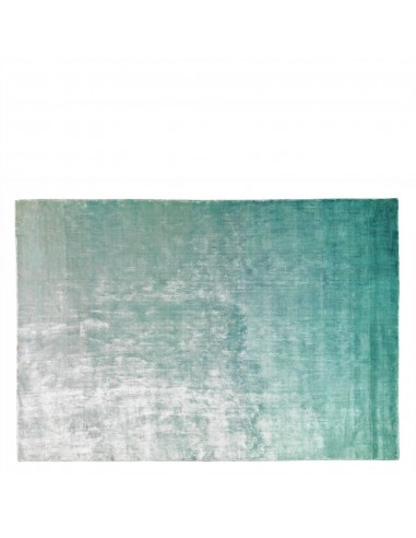 Tapis Eberson Aqua Pour