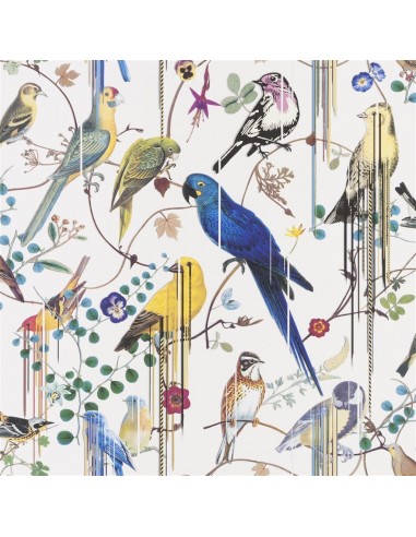 Papier Peint CL Birds Sinfonia Perce Neige 50-70% off 